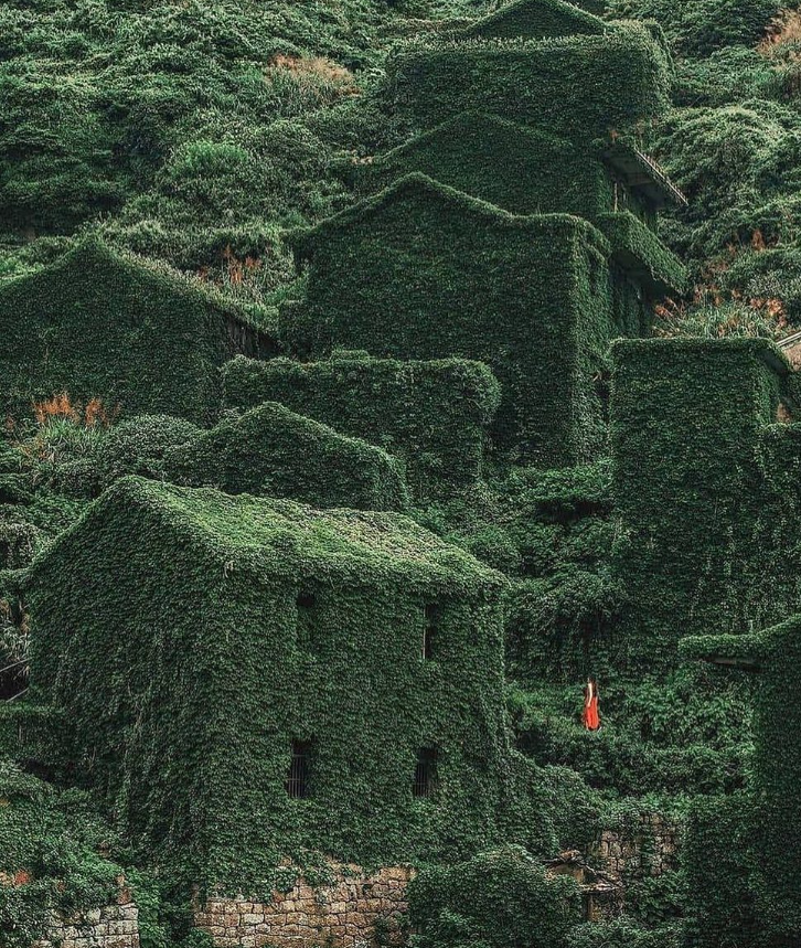 Смотрите, как выглядит заброшенное село-призрак, которое полностью поглотила природа: фото и видео